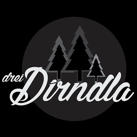 Drei Dirndla Apartment Schladming Bagian luar foto